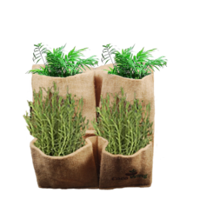 CocoWing Jute Grow Bags 4 Pockets - Image 4