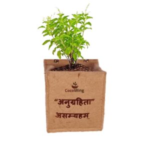 Anugrihita Asmahyam (Sanskrit) | I am Blessed | Jute Grow Bag - 6x7 Inch Wall-Mounted Vertical Garden Holder by CocoWing - Image 3