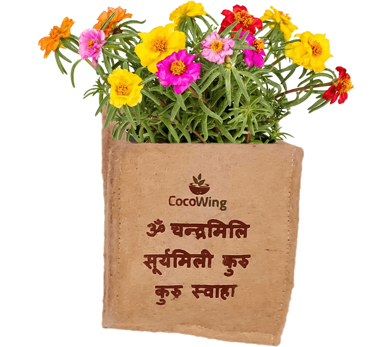 Wall Mounted Jute Grow Bag