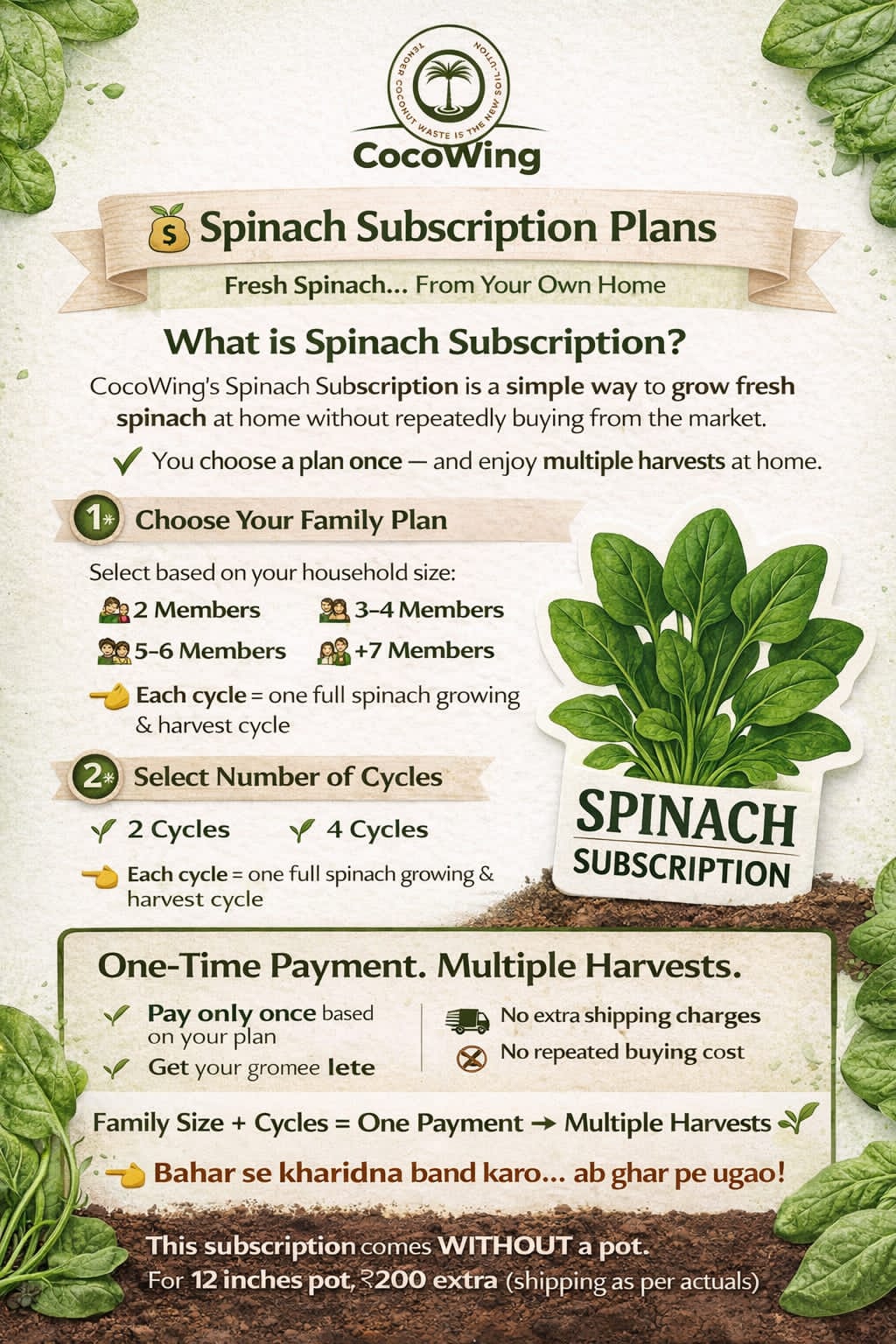 CocoWing Spinach Subscription Kit, Grow Fresh Spinach at Home, Multiple Harvest Cycles, with Talking Soil and Seeds