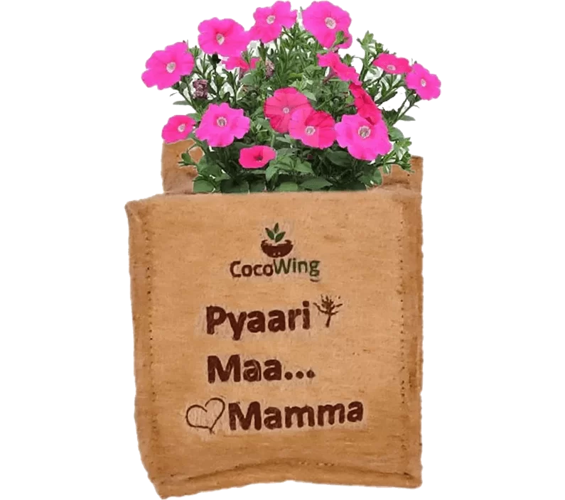 ‘Pyaari Maa…Mamma’ Wall Mounted Jute Grow Bag